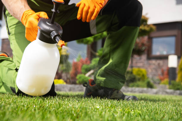 Best Pest Control Near Me  in Chinook, MT