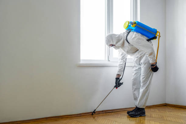 Best Local Pest Control Services  in Chinook, MT