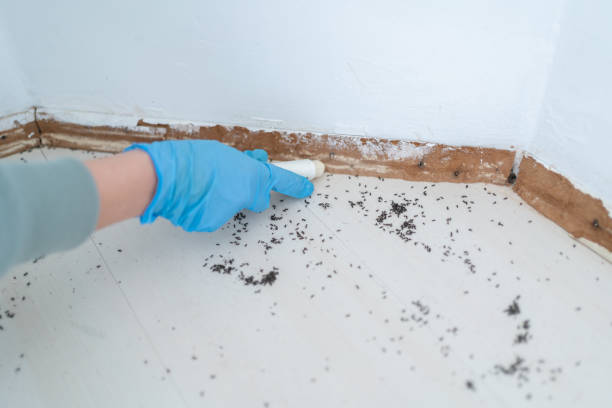 Best Wildlife Control Services  in Chinook, MT