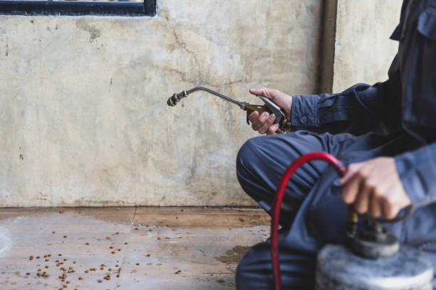 Best Residential Pest Control  in Chinook, MT